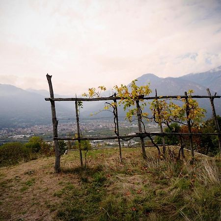 Villa Casa Del Cecco Trontano Esterno foto